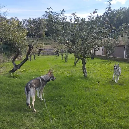 Appartamento The Wolves' Den *